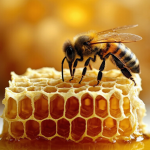 Bee College Enrollment Fee